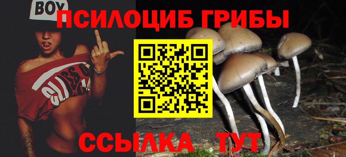 Псилоцибиновые грибы MAGIC MUSHROOMS  Вход с VPN  Елабуга 